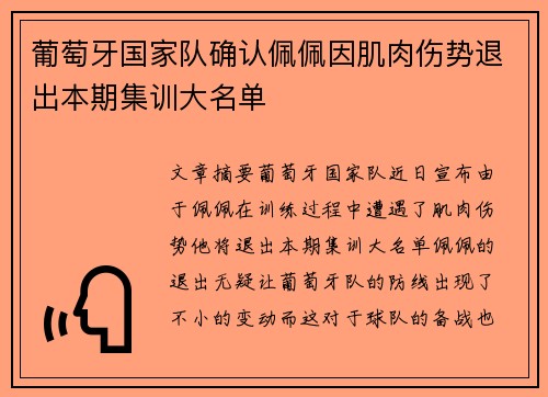 葡萄牙国家队确认佩佩因肌肉伤势退出本期集训大名单