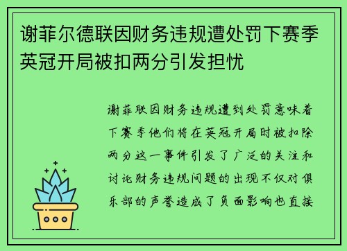 谢菲尔德联因财务违规遭处罚下赛季英冠开局被扣两分引发担忧